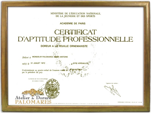 Certificat d'Aptitude Professionnelle