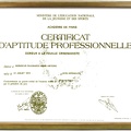 Certificat d'Aptitude Professionnelle