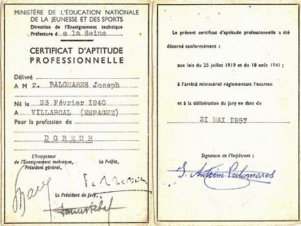 Certificat d'Aptitude Professionnelle